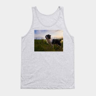 evening walk Tank Top